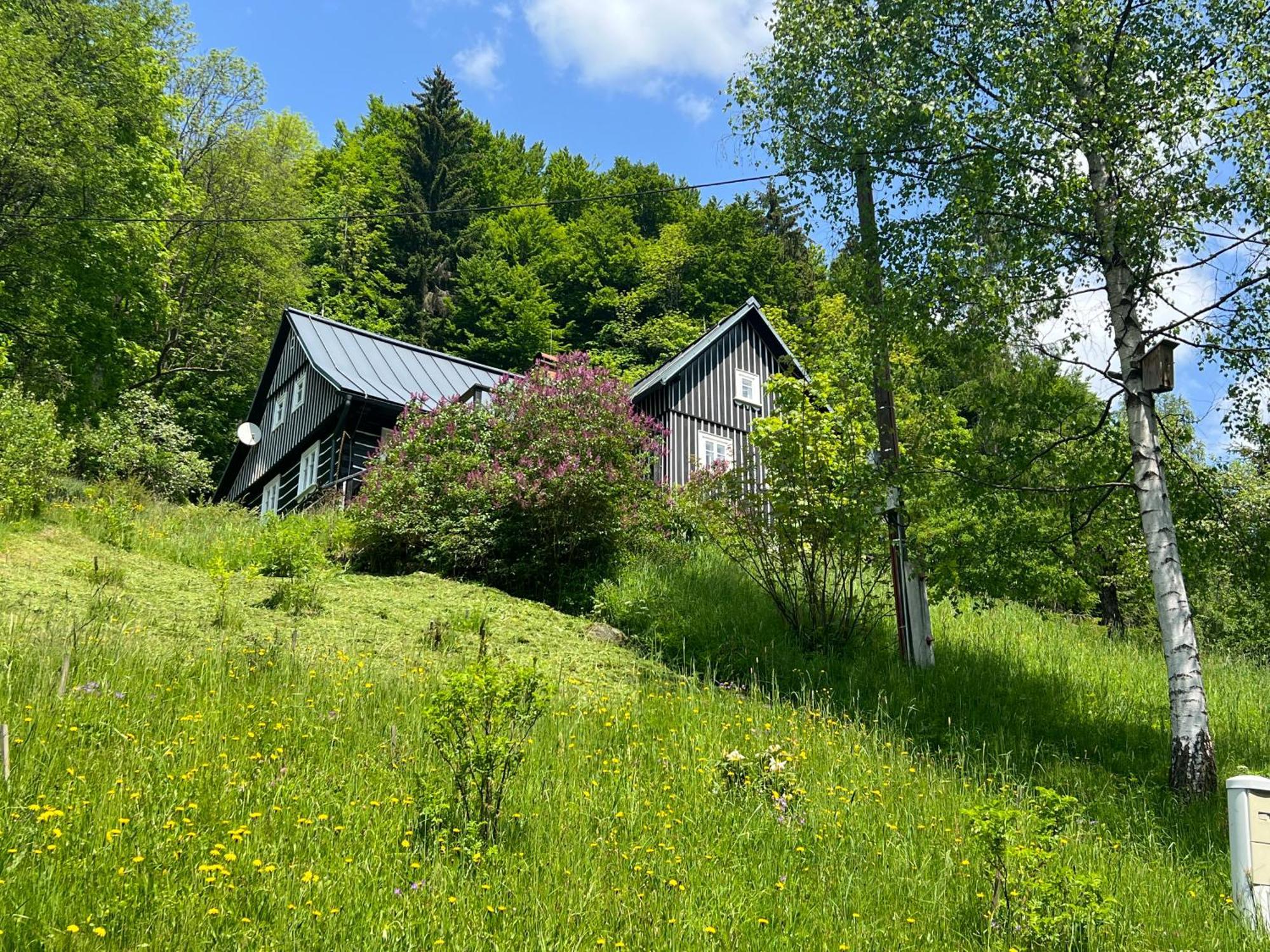 Roubenka Bratrouchov Villa Jablonec nad Jizerou Eksteriør billede